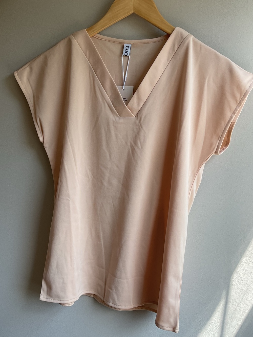 V-Neck Cap Sleeve Tunic Top in Blush